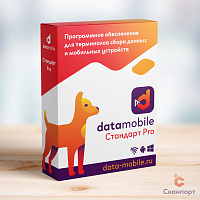 DataMobile Стандарт Pro картинка от магазина Кассоптторг